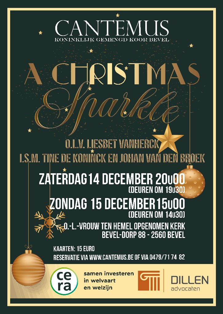 POSTER_A3_kerst_2024_A3